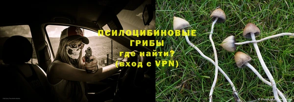 дурь Аркадак
