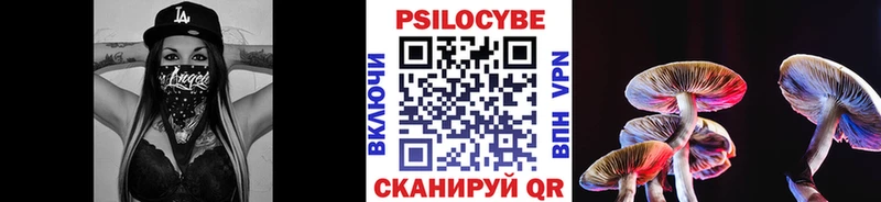 Псилоцибиновые грибы мицелий Кубинка